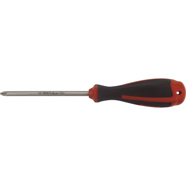 Ega Master POZIDRIV SCREWDRIVER PZ-2 X 100 MM INOX 38033